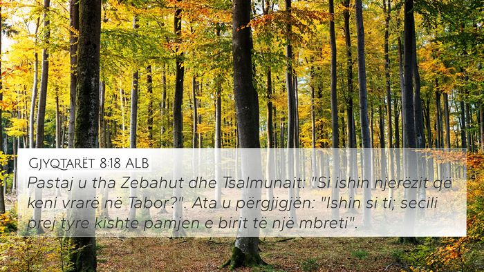 Gjyqtarët 8:18 ALB Bible Verse Image