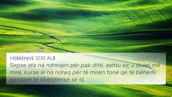Hebrenjve 12:10 ALB Bible Verse Image