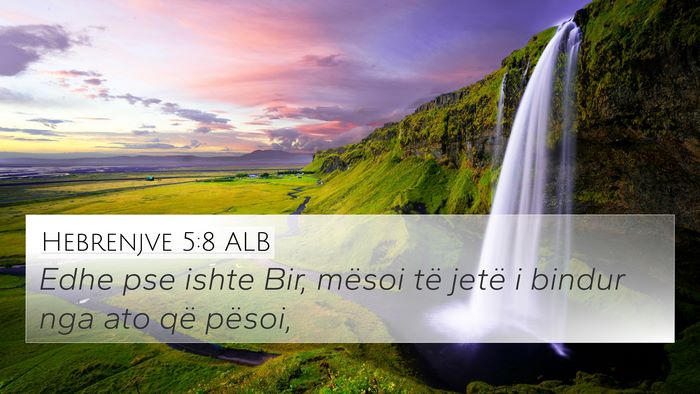 Hebrenjve 5:8 ALB Bible Verse Image