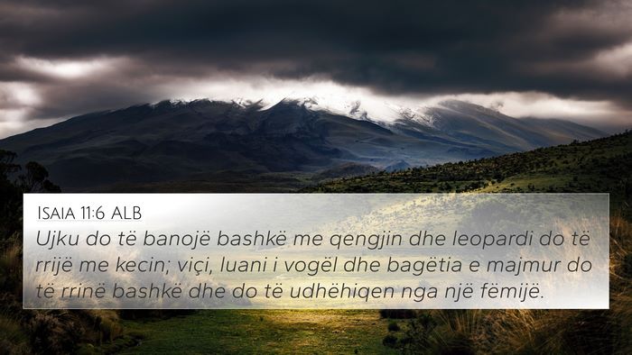 Isaia 11:6 ALB Bible Verse Image