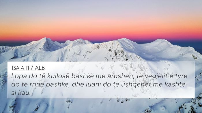 Isaia 11:7 ALB 4K Wallpaper - Lopa do të kullosë bashkë me arushen, të - 4K Wallpaper Bible Verse