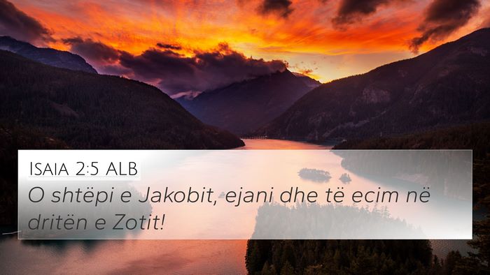 Isaia 2:5 ALB Bible Verse Image