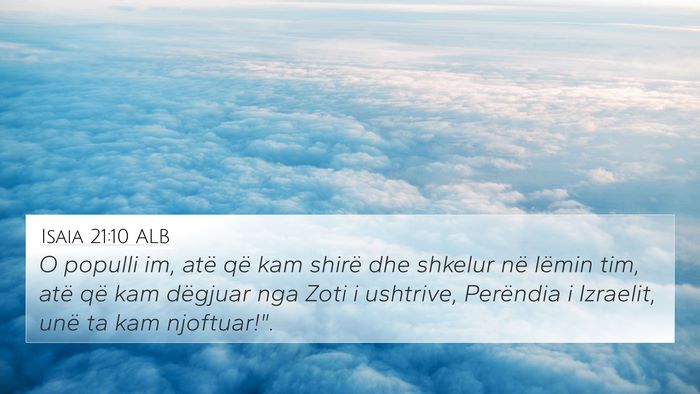 Isaia 21:10 ALB Bible Verse Image