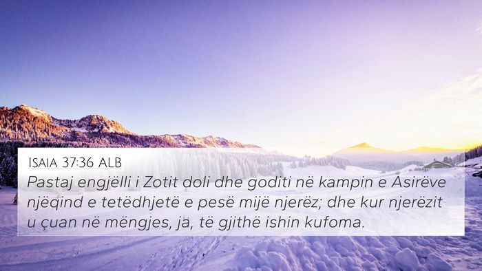 Isaia 37:36 ALB Bible Verse Image