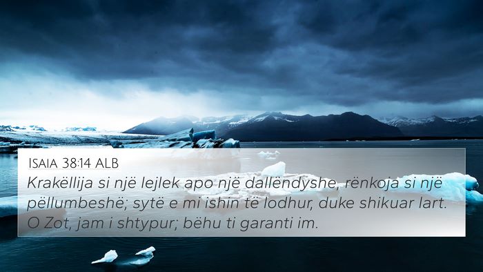 Isaia 38:14 ALB Bible Verse Image