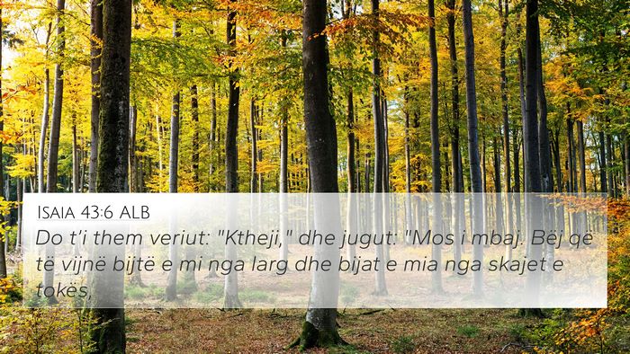 Isaia 43:6 ALB Bible Verse Image