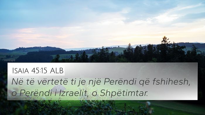 Isaia 45:15 ALB Bible Verse Image