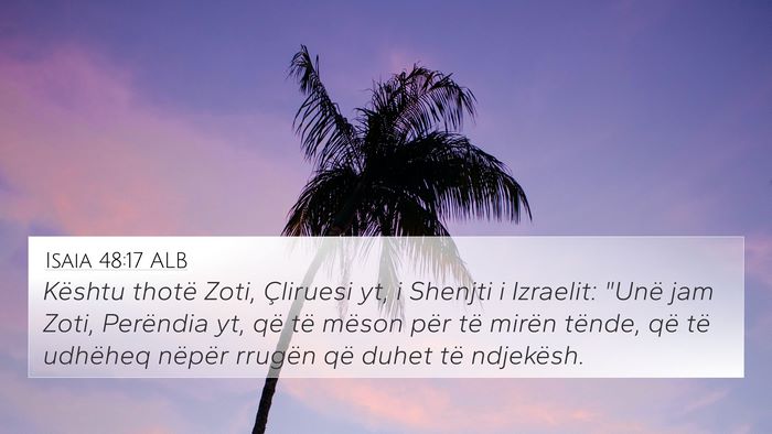 Isaia 48:17 ALB Bible Verse Image