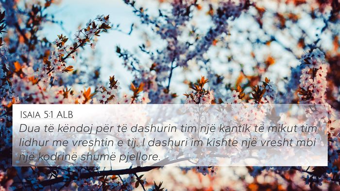 Isaia 5:1 ALB Bible Verse Image