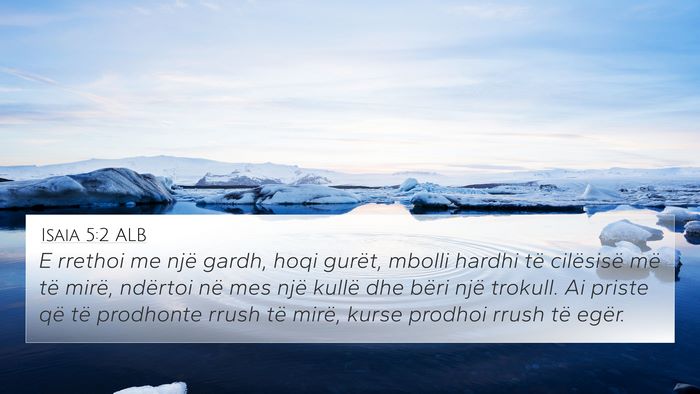 Isaia 5:2 ALB Bible Verse Image