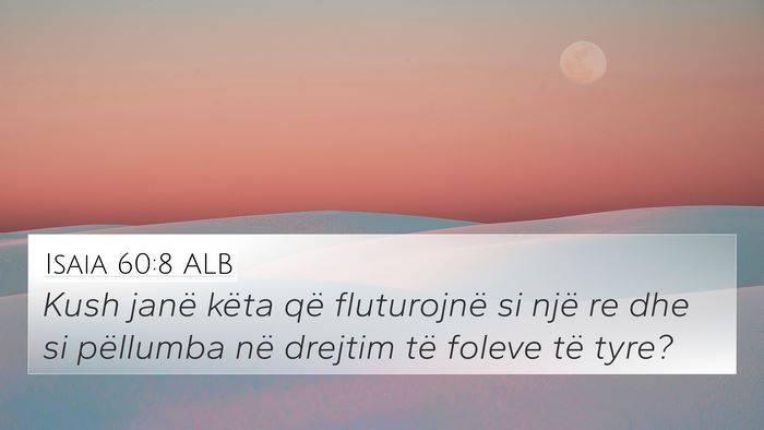 Isaia 60:8 ALB Bible Verse Image