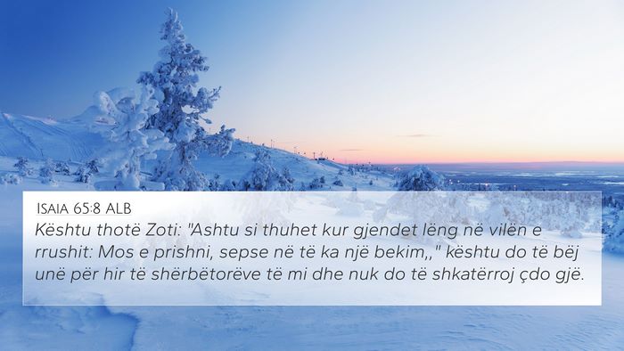 Isaia 65:8 ALB Bible Verse Image