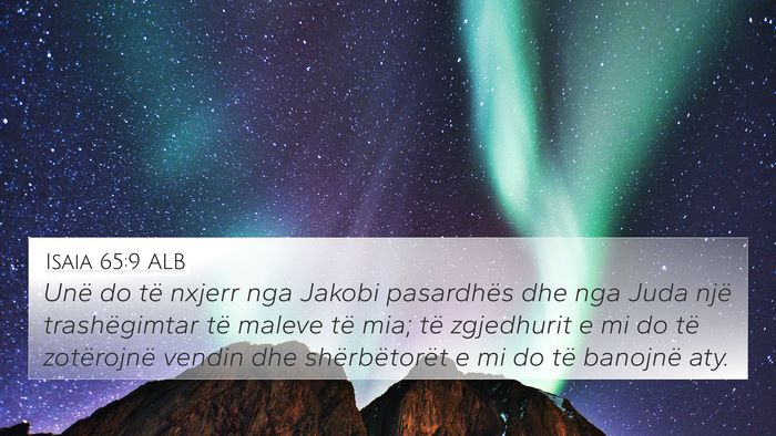Isaia 65:9 ALB Bible Verse Image