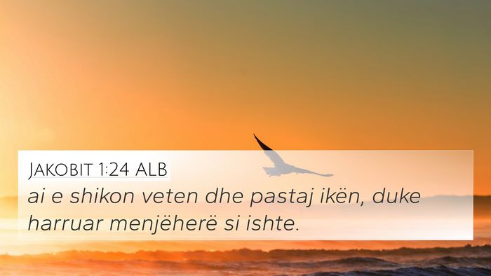 Jakobit 1:24 ALB 4K Wallpaper - ai e shikon veten dhe pastaj ikën, duke harruar - 4K Wallpaper Bible Verse