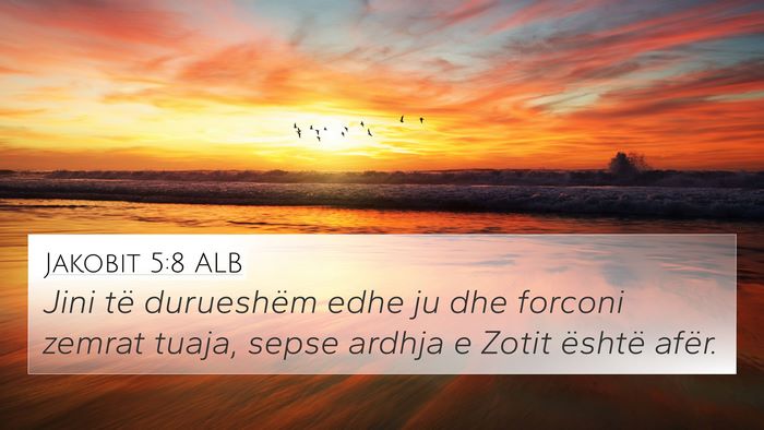 Jakobit 5:8 ALB Bible Verse Image