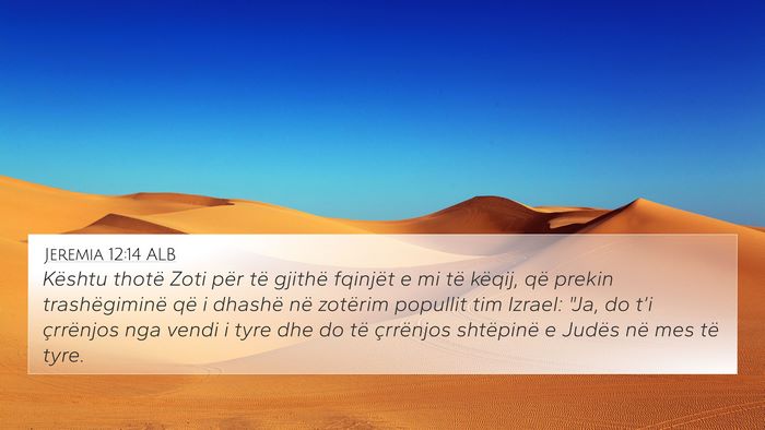 Jeremia 12:14 ALB Bible Verse Image