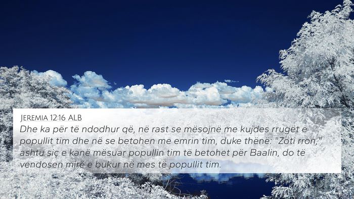 Jeremia 12:16 ALB 4K Wallpaper - Dhe ka për të ndodhur që, në rast se - 4K Wallpaper Bible Verse