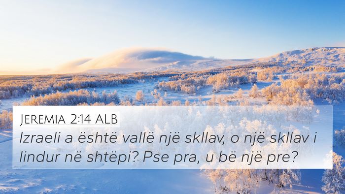 Jeremia 2:14 ALB Bible Verse Image