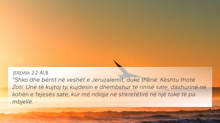 Jeremia 2:2 ALB Bible Verse Image