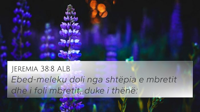 Jeremia 38:8 ALB Bible Verse Image