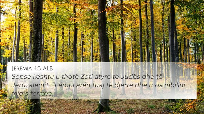 Jeremia 4:3 ALB Bible Verse Image
