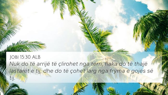 Jobi 15:30 ALB Bible Verse Image