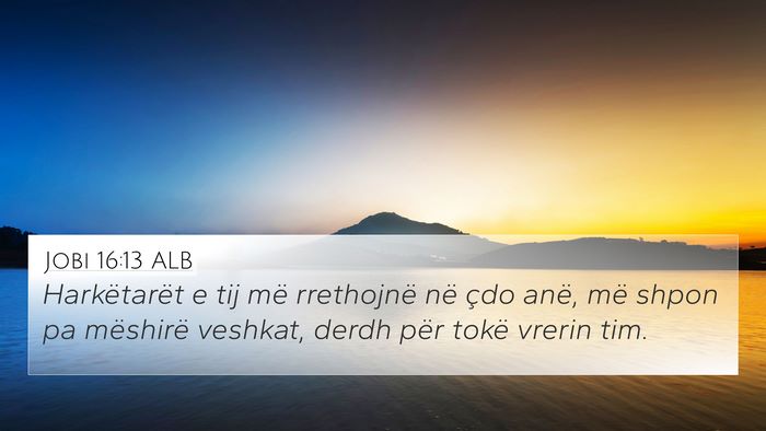 Jobi 16:13 ALB Bible Verse Image