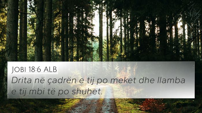 Jobi 18:6 ALB Bible Verse Image