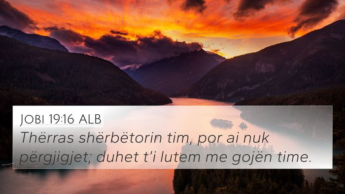 Jobi 19:16 ALB Bible Verse Image