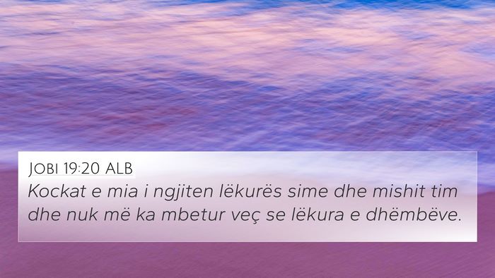 Jobi 19:20 ALB Bible Verse Image