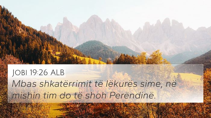 Jobi 19:26 ALB Bible Verse Image