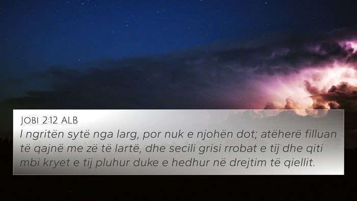 Jobi 2:12 ALB Bible Verse Image