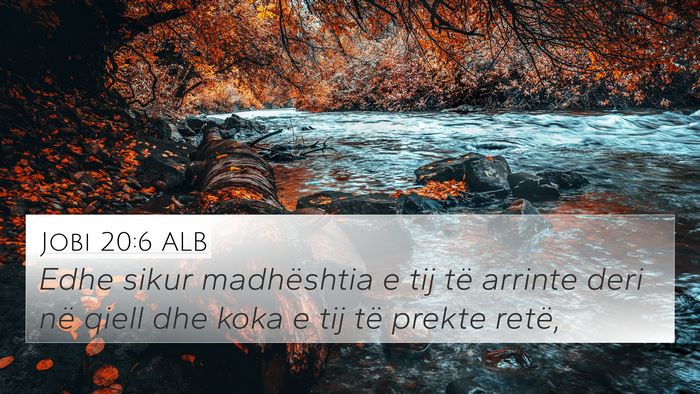 Jobi 20:6 ALB Bible Verse Image