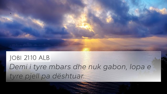 Jobi 21:10 ALB Bible Verse Image