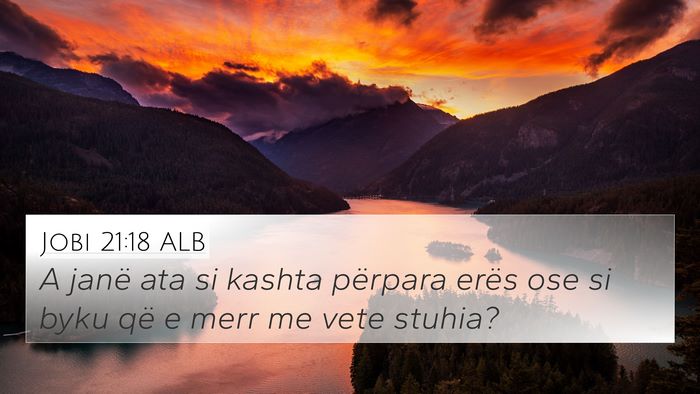 Jobi 21:18 ALB Bible Verse Image