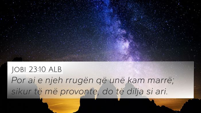 Jobi 23:10 ALB Bible Verse Image