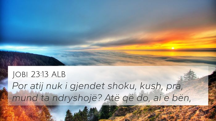 Jobi 23:13 ALB Bible Verse Image