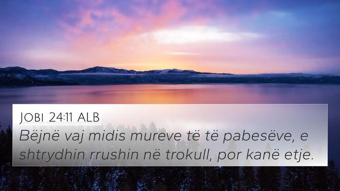 Jobi 24:11 ALB Bible Verse Image