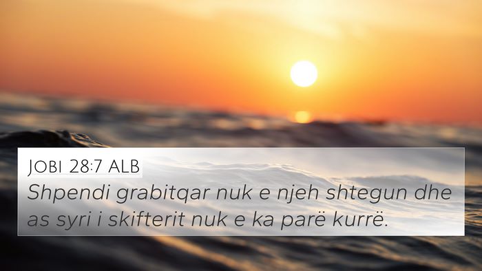 Jobi 28:7 ALB Bible Verse Image