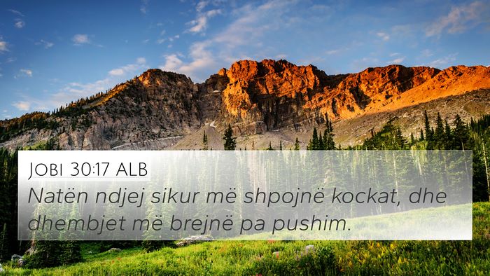 Jobi 30:17 ALB Bible Verse Image