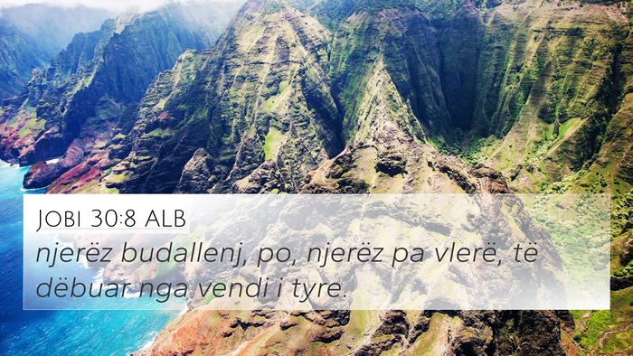 Jobi 30:8 ALB Bible Verse Image