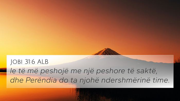 Jobi 31:6 ALB Bible Verse Image