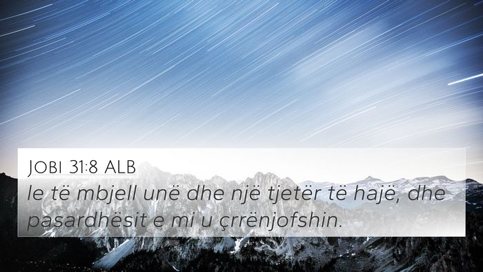 Jobi 31:8 ALB 4K Wallpaper - le të mbjell unë dhe një tjetër të hajë, - 4K Wallpaper Bible Verse
