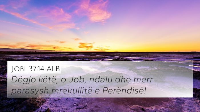 Jobi 37:14 ALB Bible Verse Image