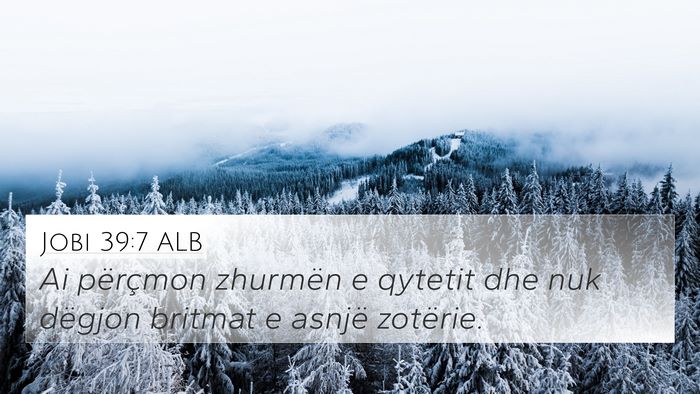 Jobi 39:7 ALB 4K Wallpaper - Ai përçmon zhurmën e qytetit dhe nuk dëgjon - 4K Wallpaper Bible Verse