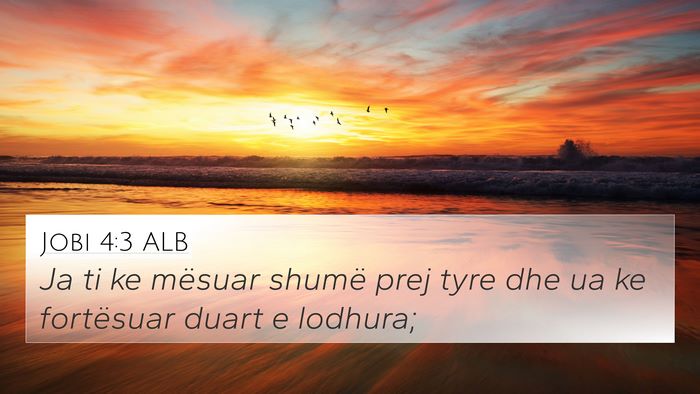 Jobi 4:3 ALB Bible Verse Image