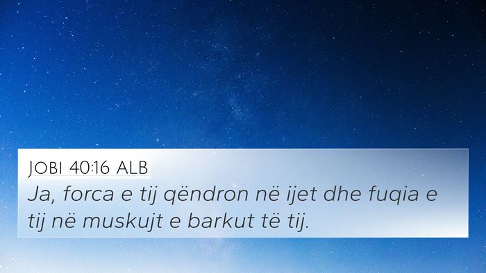 Jobi 40:16 ALB Bible Verse Image