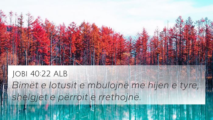 Jobi 40:22 ALB 4K Wallpaper - Bimët e lotusit e mbulojnë me hijen e tyre, - 4K Wallpaper Bible Verse