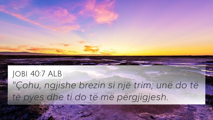 Jobi 40:7 ALB Bible Verse Image
