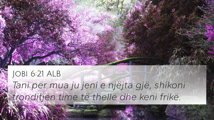 Jobi 6:21 ALB Bible Verse Image